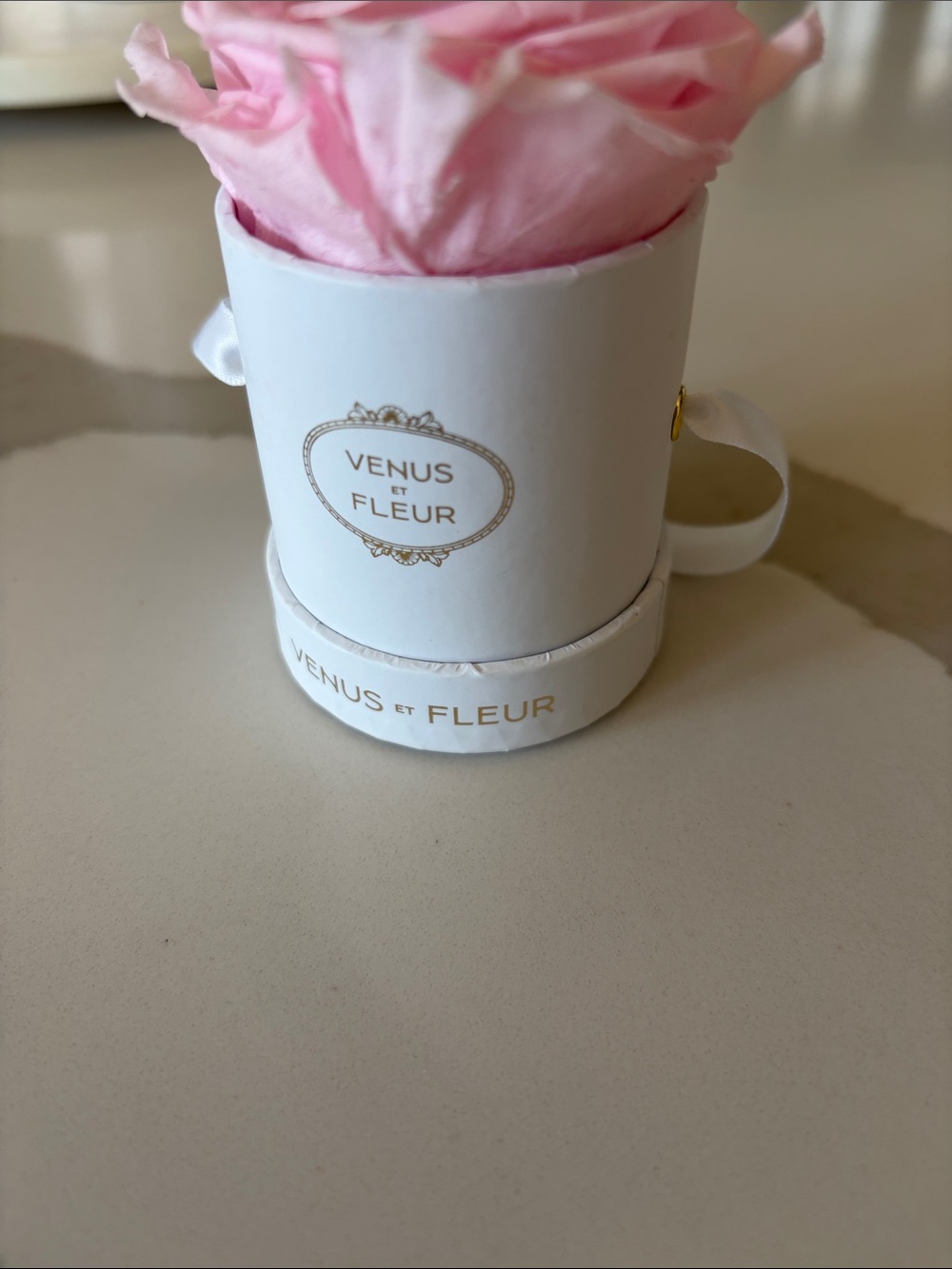 Venus Et Fleur Petit Round - Picture 4 of 7